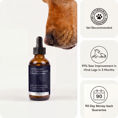 4-in-1 NAD+ Longevity & Mobility Complex