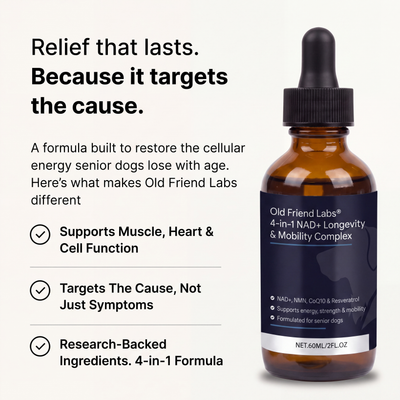 4-in-1 NAD+ Longevity & Mobility Complex