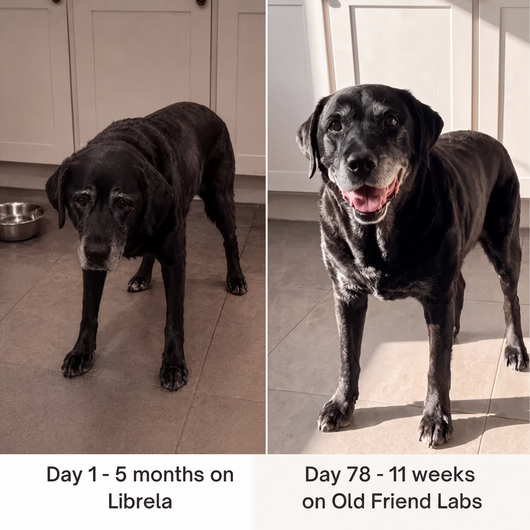 4-in-1 NAD+ Longevity & Mobility Complex