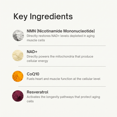 4-in-1 NAD+ Longevity & Mobility Complex